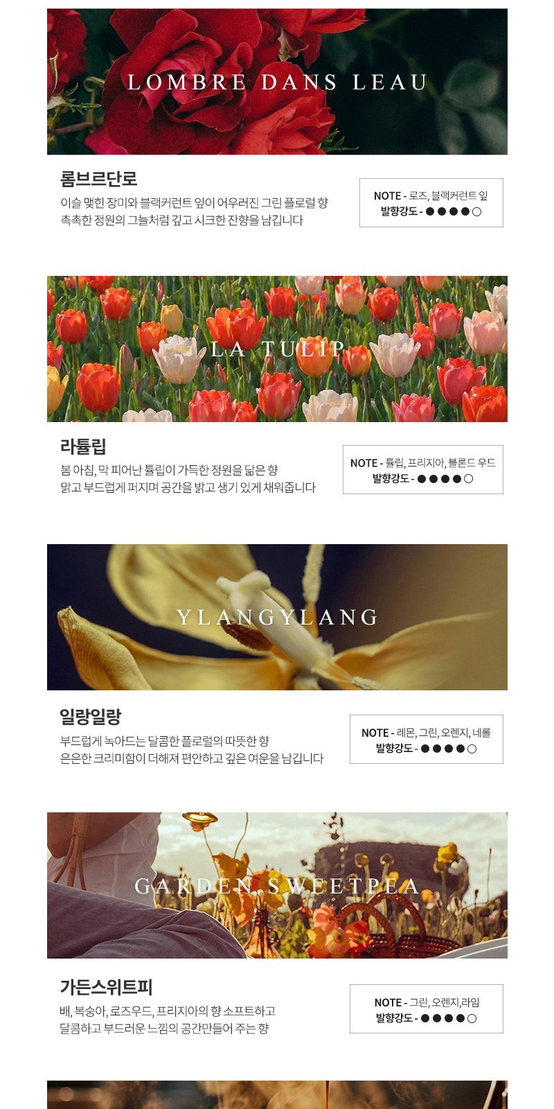 레스쁘리 고급 우유병 디퓨저세트 C (디퓨저 BASIC 150ml+메종프랑세즈 양우산) 상세 이미지